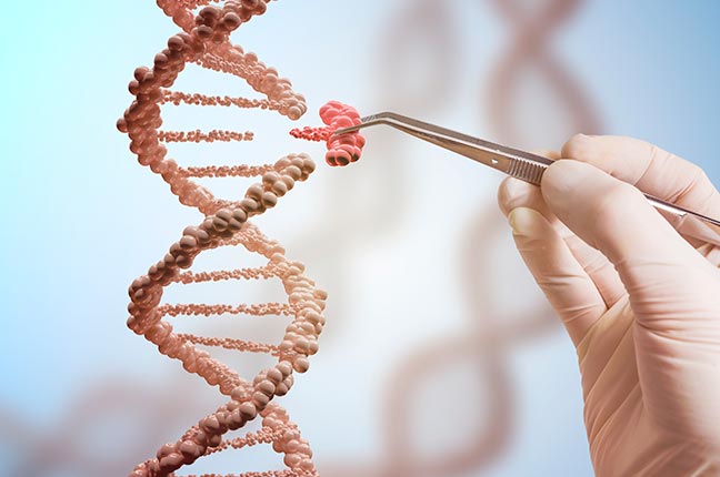 engenharia genética e manipulação de DNA