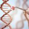 engenharia genética e manipulação de DNA