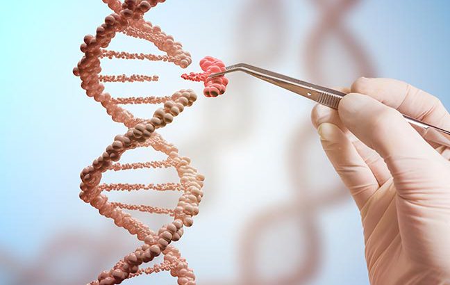 engenharia genética e manipulação de DNA