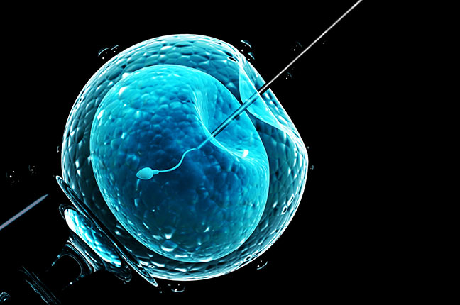 injeção celular para inseminação artificial