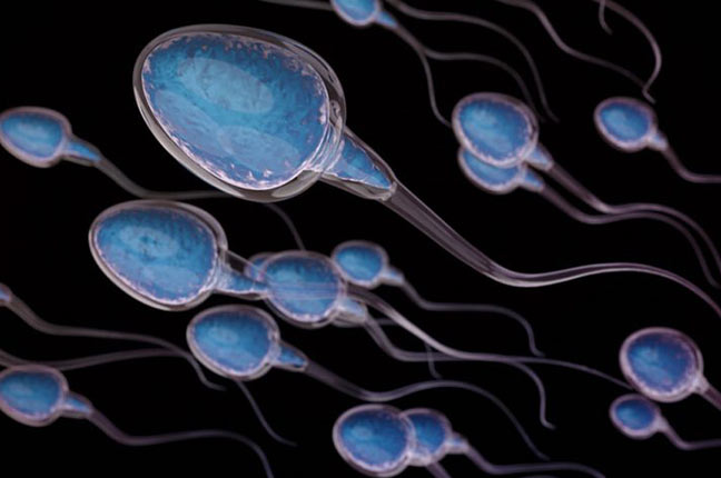 nível de fragmentação de dna de espermatozoides