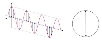 esquema de luz polarizada